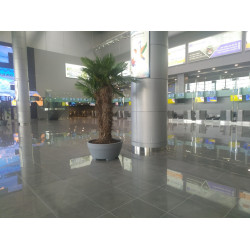 Плінтус із нержавіючої сталі